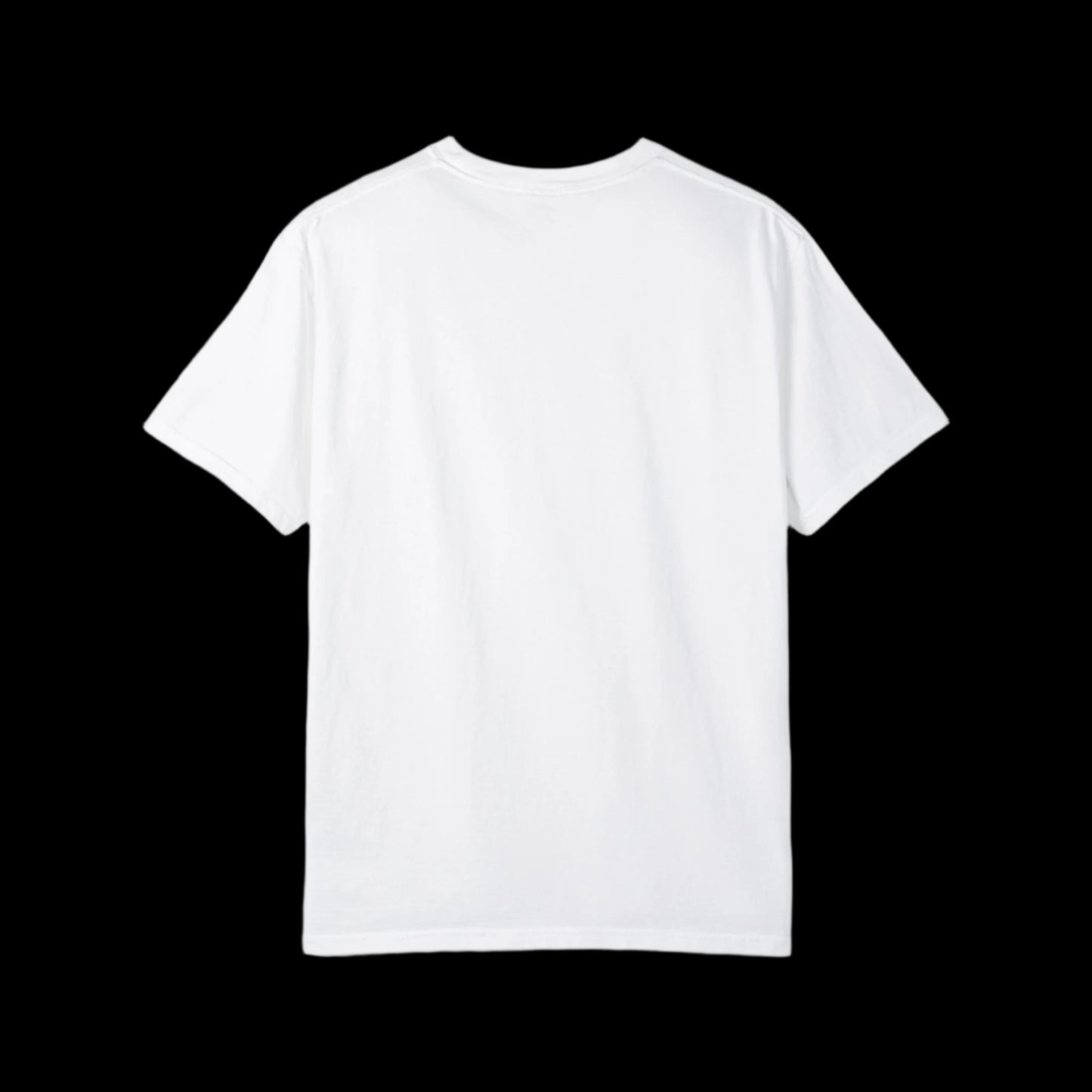 A plain white, unisex T-shirt is displayed against a black background, showcasing the back view. It boasts short sleeves and a round neckline with a subtle nod to vintage look, free of any visible design or logo.
