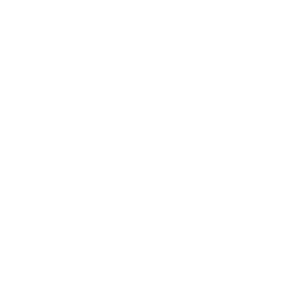 American Rebel