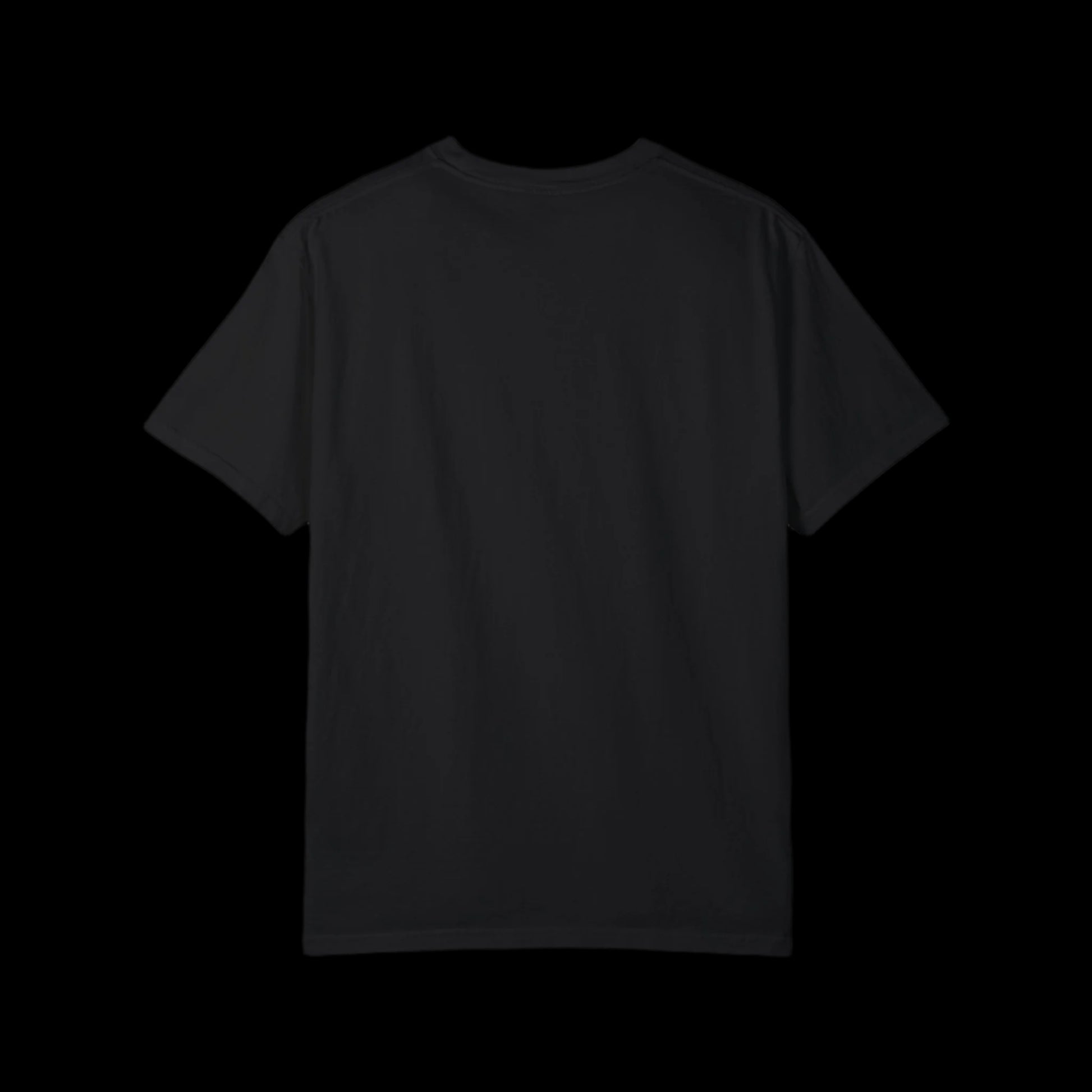 A plain black T-shirt from the American Rebel Brand is shown against a black background, displayed from the back. Crafted from 100% cotton, the shirt maintains a simple and casual vibe with short sleeves and a classic design that hints at a vintage look.