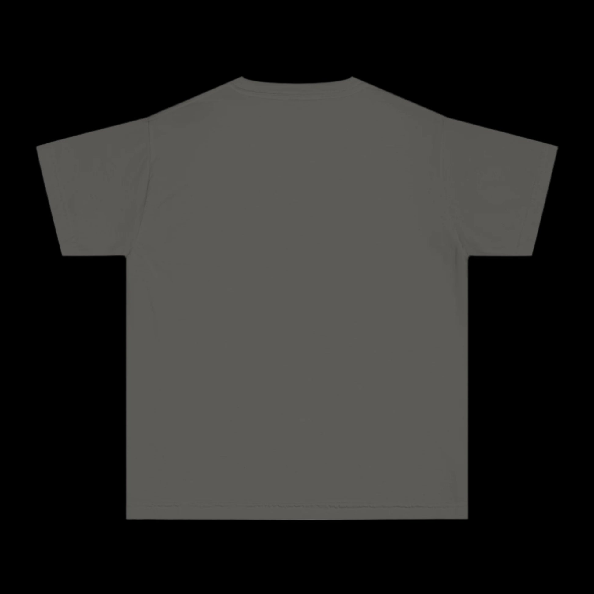 A plain, pepper gray T-shirt is displayed against a black background. Crafted from 100% cotton, the shirt boasts a garment-dyed finish for a subtle vintage look. Shown from the back, it features short sleeves and a simple, clean design.