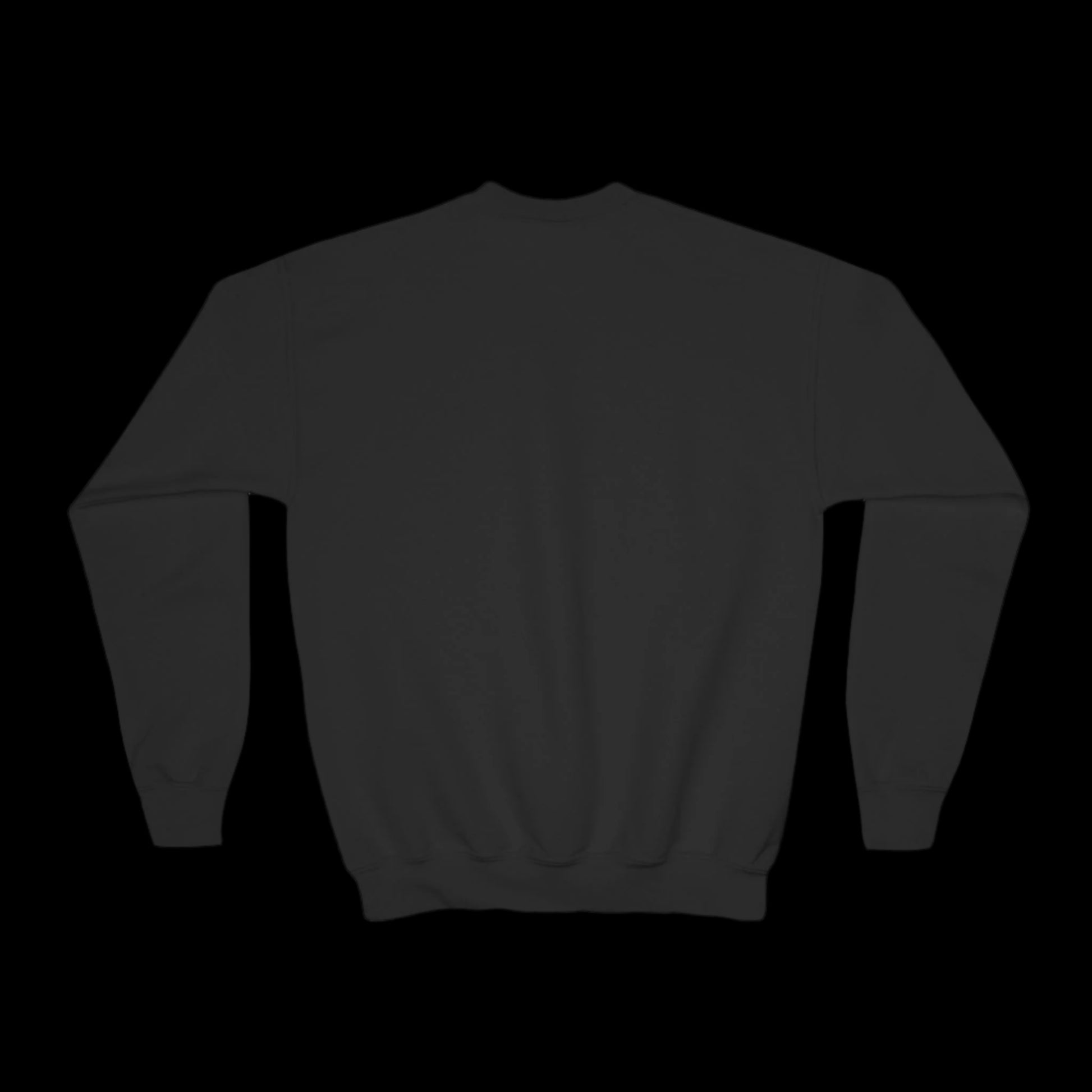 A black sweatshirt displayed against a solid black background. The sweatshirt is shown from the back with long sleeves and ribbed cuffs and hem, embodying RFK Jr.s vision for a toxic-free environment. The fabric appears smooth and plain without any visible designs or logos.